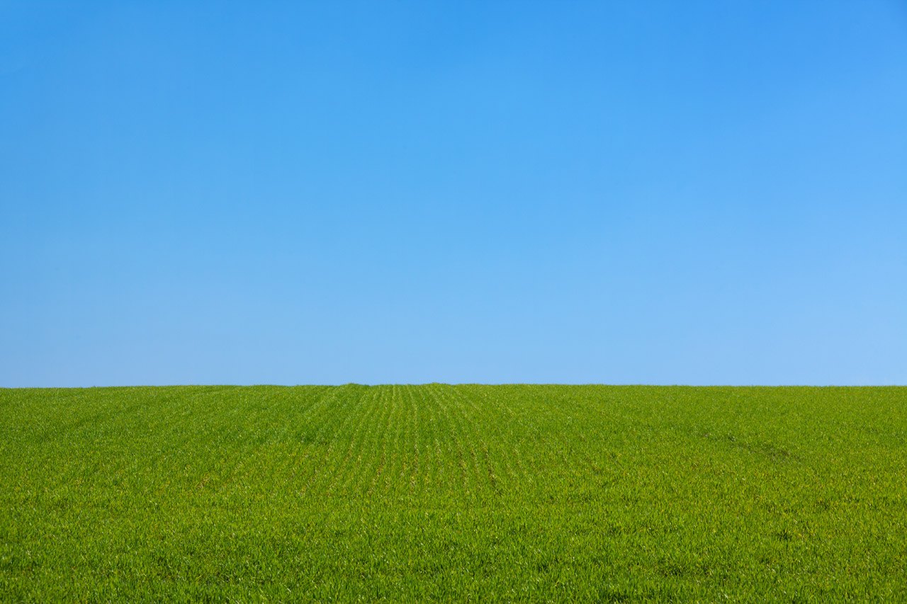 grass-and-the-sky-background.jpg